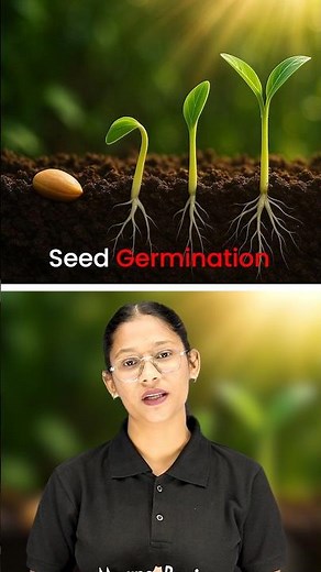 From Seed to Plant 🌿 | Germination in 5 Minutes!