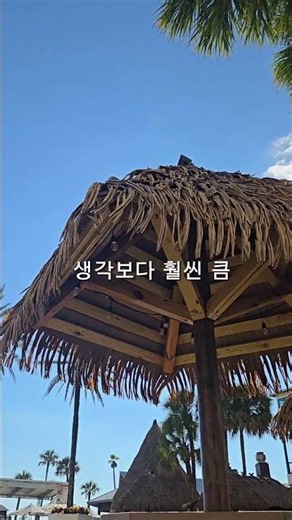 IHG 포인트로 거의 공짜로 간 오션뷰 리조트 | 파나마시티비치