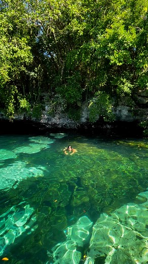 Cenote Azul - Quintana Roo - México 🇲🇽 #mexico #cenote #quintanaroo | Eu Viajo Sozinha
