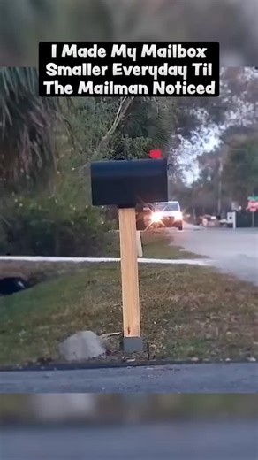 David Willock on Instagram: "I Made My Mailbox Smaller Everyday til the Mailman Noticed! #mail #fun #usps #fyp #meme"