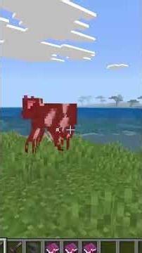 Everything You Need to Know About the New Minecraft Spear