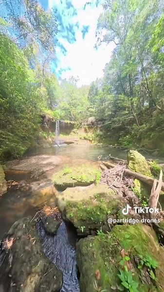 This hidden waterfall near Andalusia, Alabama was once a popular swimming hole loved and frequented by locals. Today, it’s a much different scene. Nature has slowly taken the area back, and the old swimming hole is now overgrown and fenced off. It’s one of those forgotten places you could easily pass by without ever knowing what was hidden in the woods or the memories that were made here decades ago. I would love to see some pictures and videos of what it used to look like. 📸 🎥 #AndalusiaAlaba