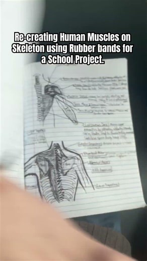 DIY Rubber band skeleton School Project #diy