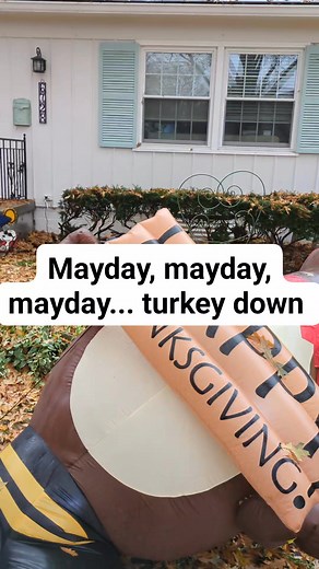 Greg Peters on Reels