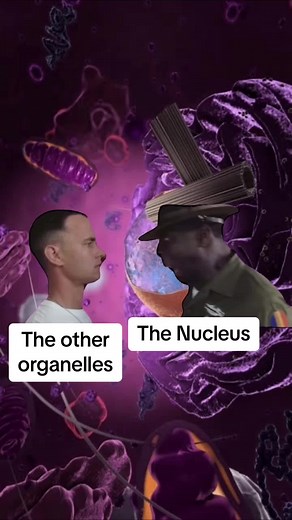 #funny #nucleus | Funny Science