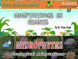 Hydrophytes (Ecological adaptation)