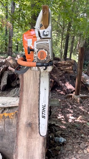 The Stihl MS391. My go to for blocking larger carvings and processing logs. #chainsawcarving #chainsaw | Busy Wren Creations