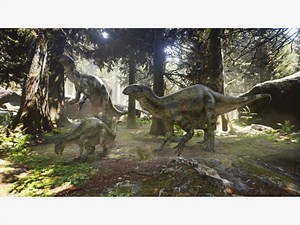 Researchers Find Oregon's First Fossil Of Land-Based Dinosaur