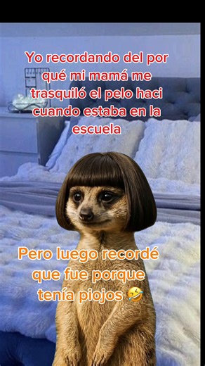 #capcutmeme #recuerdo #pelocorto #meme | old face capcut