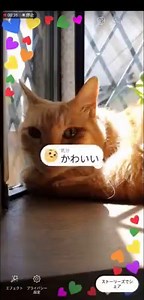 69K views · 412 reactions | 【1分の動画でわかる！はじめてのストーリーズ】...