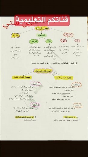 ملخص دروس اللغة العربية السنة الرابعة متوسط_انواع المحسنات البديعية و الصور البيانية#bem #algerie