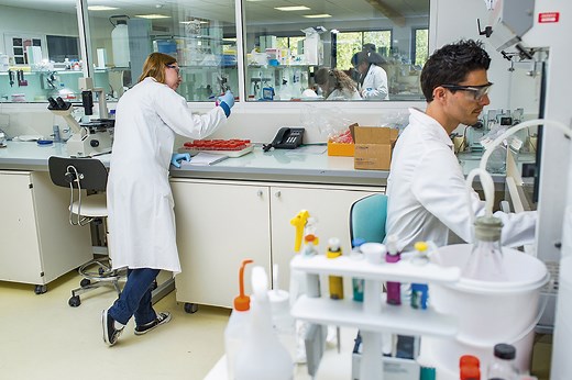 chercheur en biologie - chercheuse en biologie