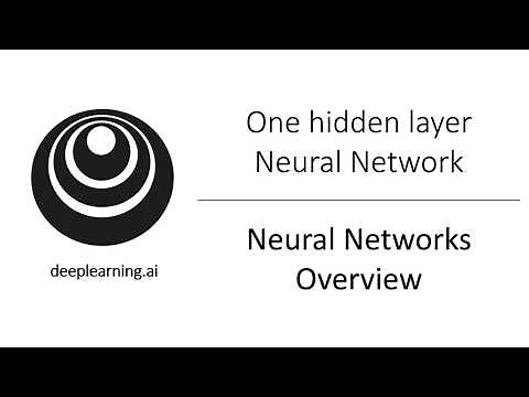 Neural Network Overview (C1W3L01)