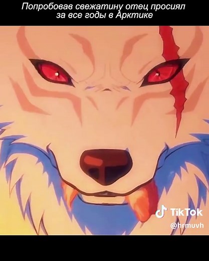 Best Anime Recommendations to Watch Now