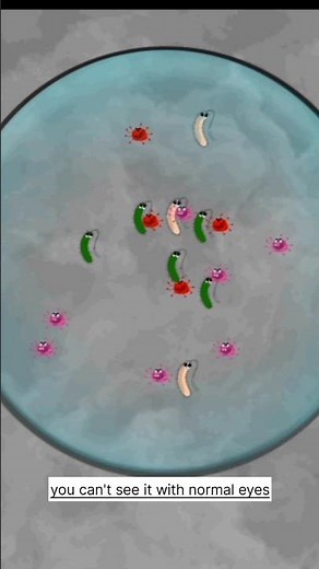 Amazing Hidden Facts About Volvox You Must Know #volvox #short