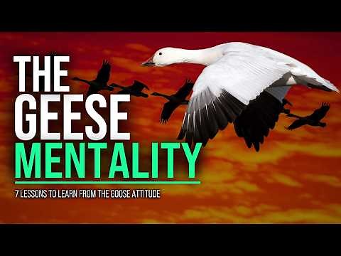 ThE GEESE MENTALITY - Best Motivational Video & Speech (Geese MINDSET)