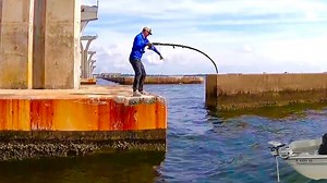 4.9M views · 10K reactions | Unexpected monster fish caught from a Florida bridge | AnglerUp with Brant | Facebook