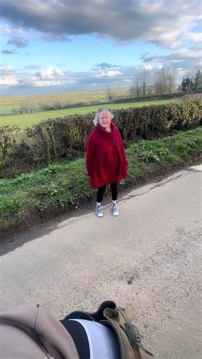 Unexpected Diplomatic Encounters with Horses