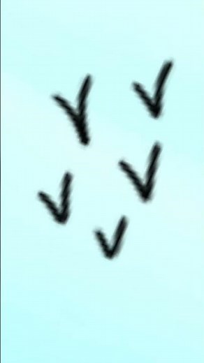 painting on sketchbook app