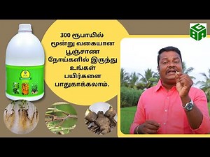 Uses of Trichoderma Viride explained by PT. Senthil Kumar | Thulir Agro products | Tamil