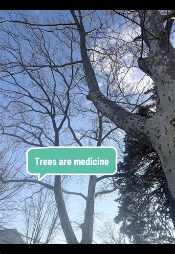 It’s not silly.. it’s science🌲 Sitting in nature has been shown to reduce rumination (repetitive negative thinking) and improve cognitive functioning/emotional wellbeing (Bratman et al., 2015). Research also shows that simply spending time in forest environments can lower cortisol (stress hormone), reduce blood pressure, and improve overall mood and parasympathetic (calming) activity (Park et al., 2010). In other words, your body functions better beside a tree! We are so quick to confide in peo