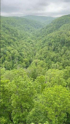 Hawksbill Crag, Ozark National Forest, Arkansas, USA