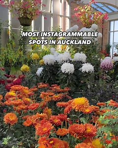 1K reactions · 279 shares | Discover Auckland's picture-perfect landscapes, island escapes and other stunning photo spots!  | Visit Auckland | Facebook