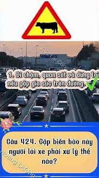 Luyện Thi 600 Câu Sát Hạch Lái Xe Mới Nhất 2026 | Video Trắc Nghiệm | Biển Báo | Câu 421 430