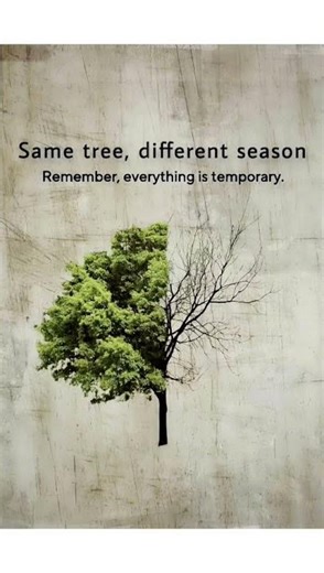 "same tree,different season"!!!🌳🪾#lifelessons #quotes #trendingshorts