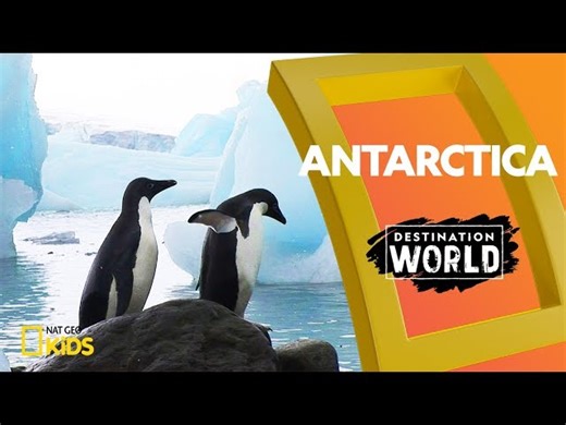 Destination World - Visiting Antarctica