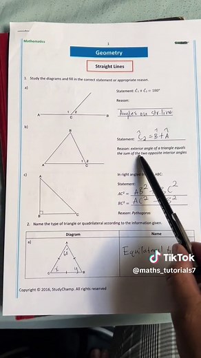 Live Geometry Session for Grades 10-12 | StudyChamp