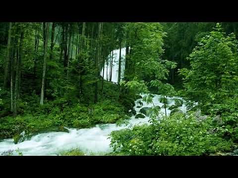 無廣告版 🎶 流水音樂 🎶 水聲音樂, 睡眠轻音乐, 白噪音, 睡眠音樂 輕柔鋼琴和大自然流水聲&鳥鳴聲 ☕ 讀書 & 專心 & 紓壓💦