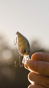 The Pressure Series: Available Now | 6th Sense Fishing