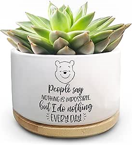 Funny Plant Pot for Succulent, Cute Small Flower Planter Pots for Indoor Plants, Inspirational Planter Gift for Friends Daughter Son, Ceramic Cactus Pots with Cartoon Quote Saying (No Plants)
