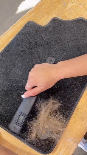 54K views · 108 reactions | Remove pet hair from your ride with ease with the Rubber Pet Hair Removal Brush!  The Pet Hair Removal Brush is the must have tool for all pet owners that uses static electricity to gently extract pet hair, fur, and lint from carpets, upholstery, and rugs without scratching. Use the Pet Hair Removal Brush on car seats, floor mats, furniture, beds, clothing, and more! Tag a friend who needs this brush in their life! | Chemical Guys | Facebook