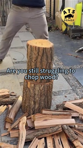 Firewood Splitter Easy and Safe Wood Splitter Tool #viralrotatingcurlingiron #handymantools #cuttingtools #leathermantools #weldingtools #professionaltools #athomeworkoutequipment #grillingmusthaves #toolsales