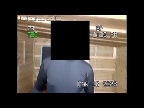 What most analog￼ horrors are like ￼