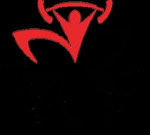 Qualifying Standards