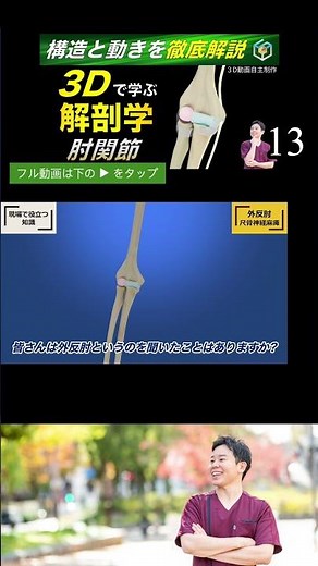Cubitus Valgus and Ulnar Nerve Palsy ❶ [Completely Understand in 3D] The Elbow Joint is "3 Joints...