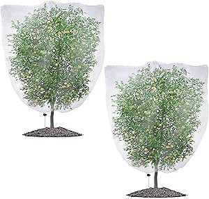 Fruit Tree Netting Bags with Drawstring, Insect Bird Netting Pest Barrier for Garden Protection, Blueberry Bushes Netting Cover for Protect Plant Flower from Cicadas Bug (6.6 x 5.9 FT - 2 Pack)