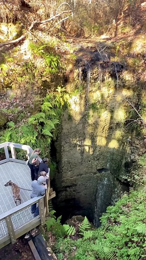 Do you know where you can find the tallest waterfall 💧 in Florida? Falling Waters State Park 🌲. Our bus 🚌 broke down in Northern Florida over two weeks ago (yes…we are still broke down 😢) and we have been trying to stay busy by exploring 🧭 the area around us. Admission is just $5 per vehicle 🚙 (up to 8 people). The park is pet friendly so we were able to bring Denali 🦮 with us. We checked out the waterfall 💧first. Surrounded by huge trees 🌲 and ferns 🌱, the water 💦 here falls 73 feet
