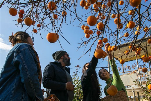 A Webinar on the Intersection of Tourism and Heritage