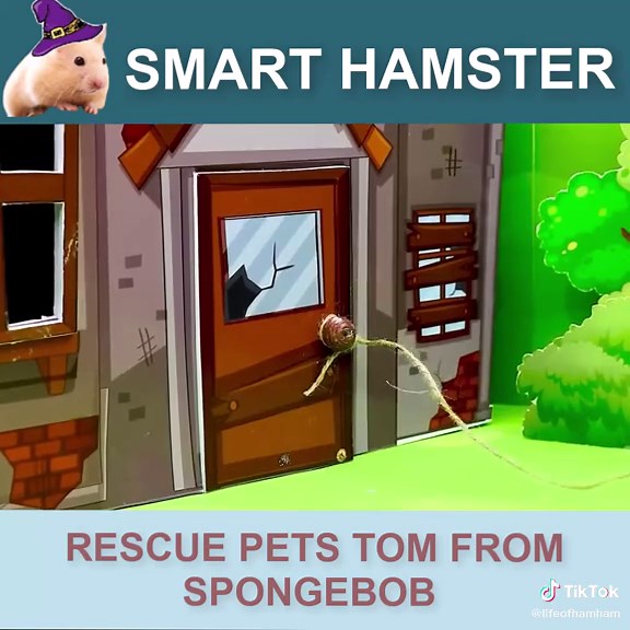 Intelligent Hamster Saves Pets in Hilarious Rescues from SpongeBob