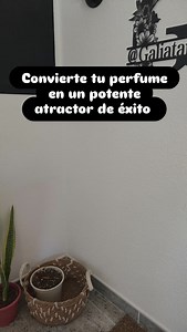 216K views · 21K reactions | ¿Quieres que tu perfume te abra todas...