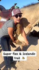 10K views · 1.8K reactions | The SUPER flex on a flying Icelandic...