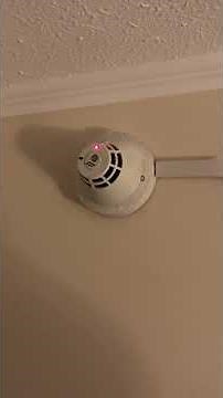 Est siga ps smoke detector test