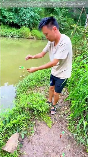 The Silent Alarm: How a Simple Bell Revolutionizes Riverbank Fishing