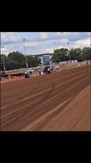 57K views · 217 reactions | Ostrich racing compilation #ostrich #ostrichracing #racing #funnyvideos #funny | Horseracingnordic | Facebook