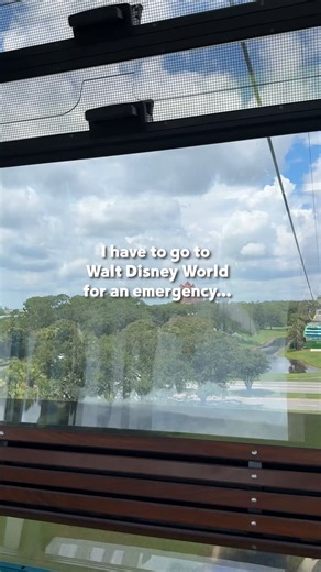 Want this to be your everyday? Apply now for the Disney College Program! http://di.sn/6184Arwuw ✨ #DisneyCollegeProgram #DCP #DisneyPrograms #LifeAtDisney #DisneyCastLife | Disney Careers