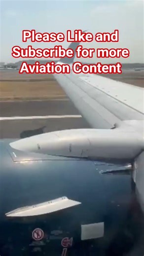 Plane Landing Close-Up: Final 50m + Flaps, Trim & Cockpit Callouts - Watch the Flaps Move!